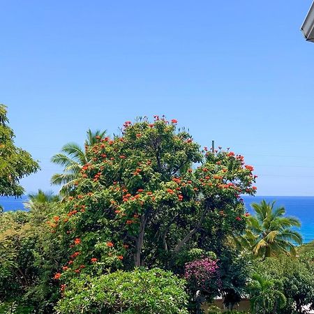 A Little Aloha Lejlighed Kailua-Kona Eksteriør billede