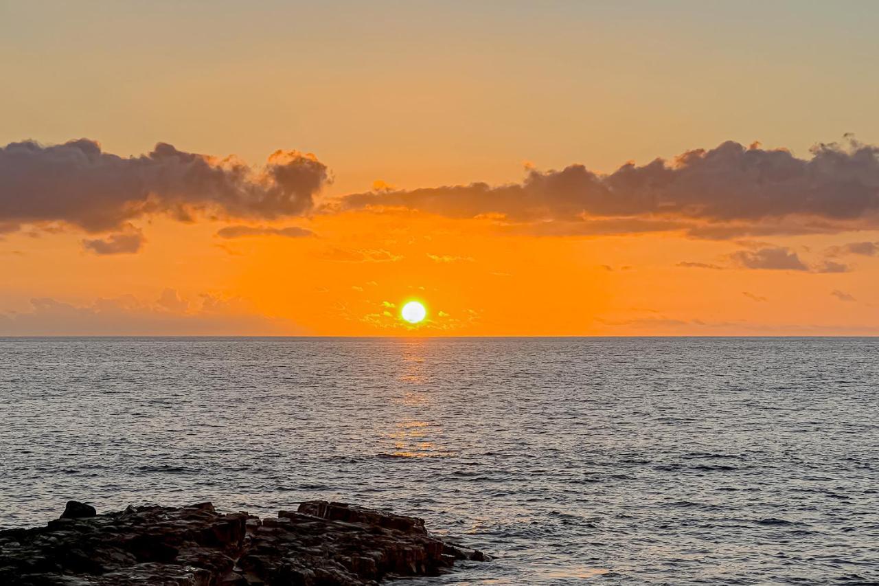 A Little Aloha Lejlighed Kailua-Kona Eksteriør billede