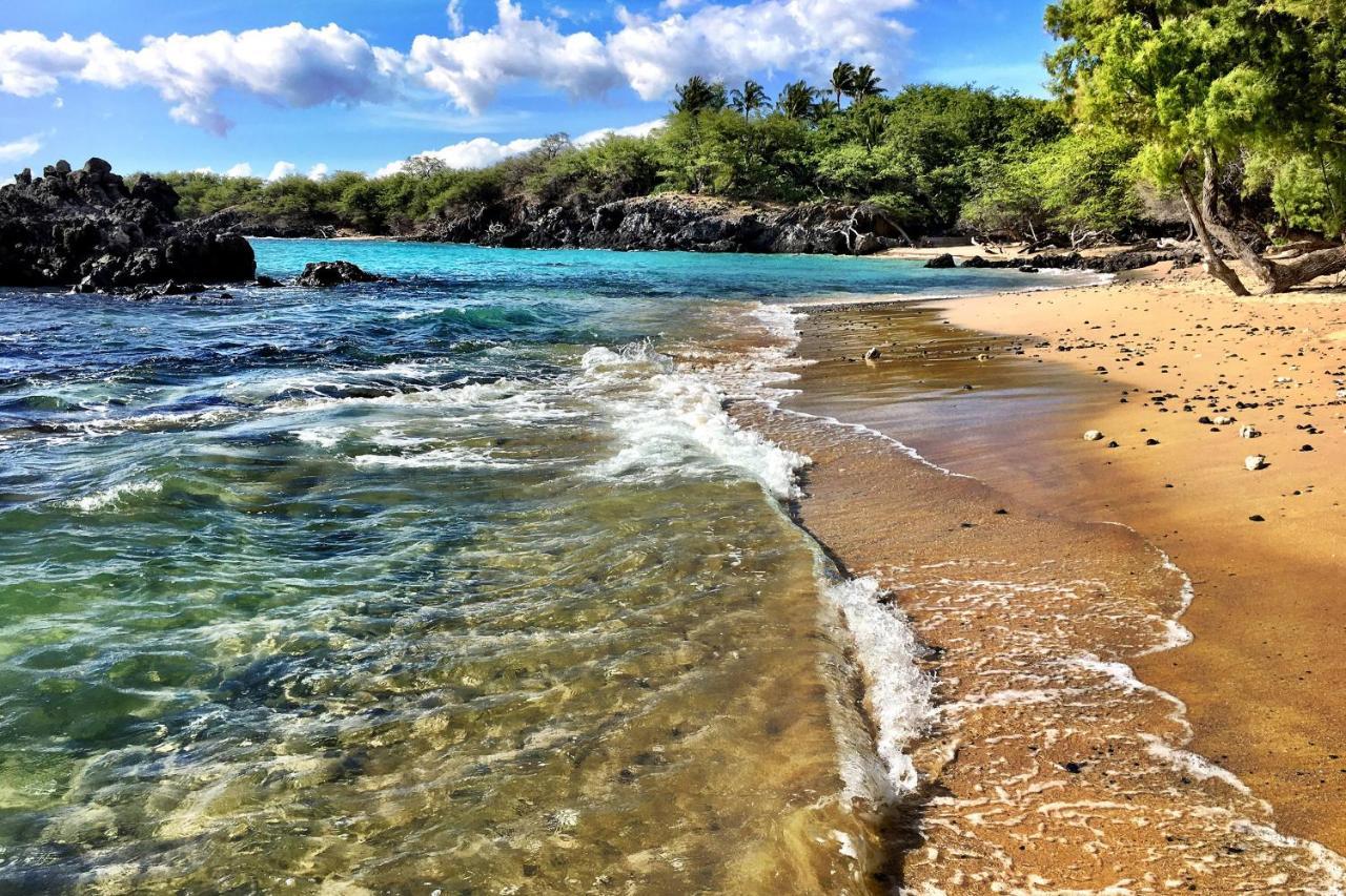 A Little Aloha Lejlighed Kailua-Kona Eksteriør billede